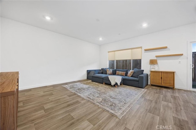 living room featuring light hardwood / wood-style flooring