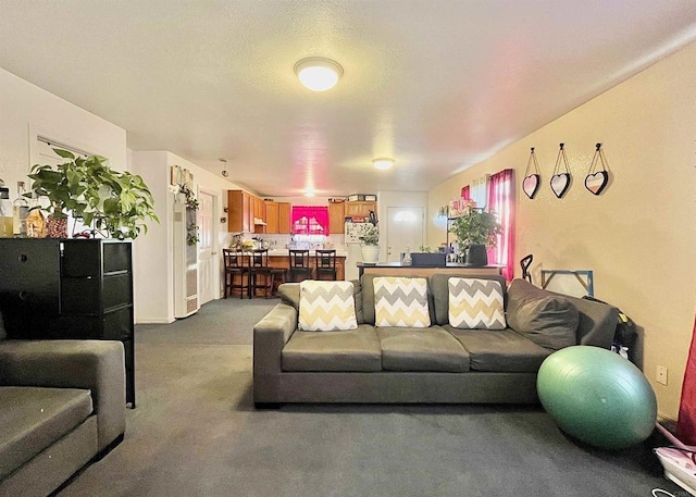 living room with carpet flooring