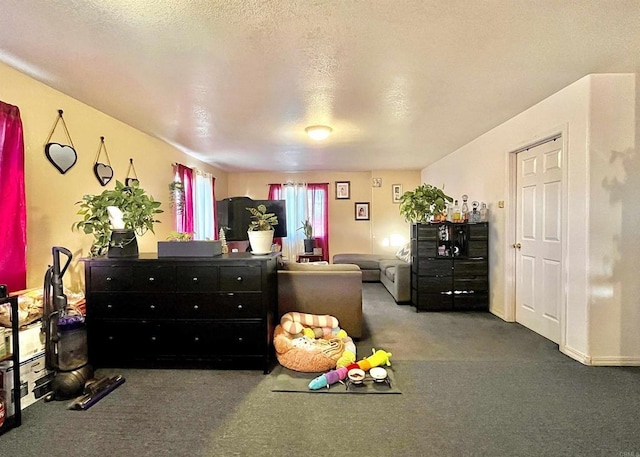 miscellaneous room with a textured ceiling and carpet