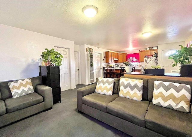 living room featuring a textured ceiling and carpet flooring