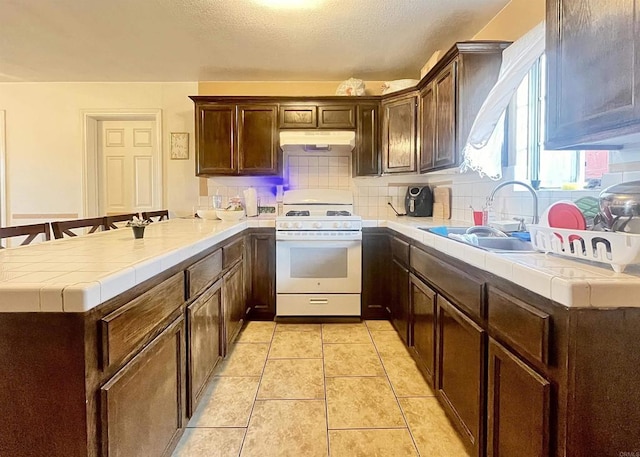 kitchen featuring white gas stove, kitchen peninsula, tasteful backsplash, and sink