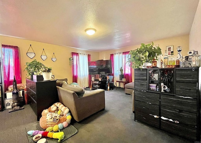 carpeted living room featuring a textured ceiling