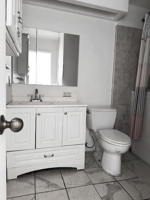 bathroom with curtained shower, toilet, and vanity