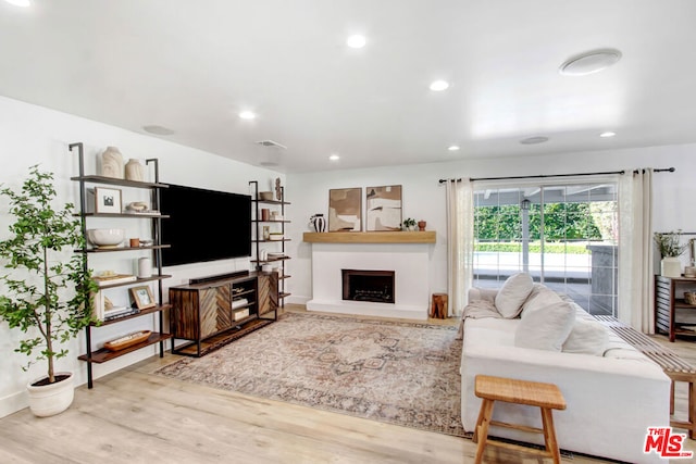 living room featuring hardwood / wood-style flooring