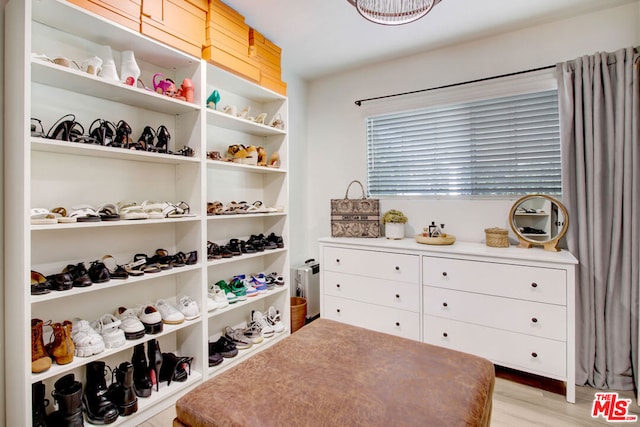 spacious closet with light hardwood / wood-style floors