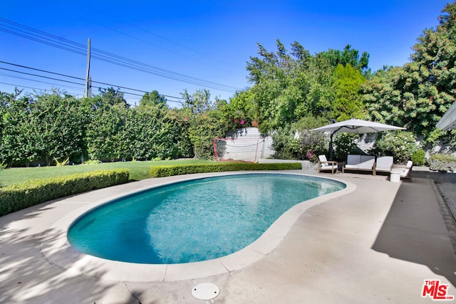 view of pool featuring a patio area