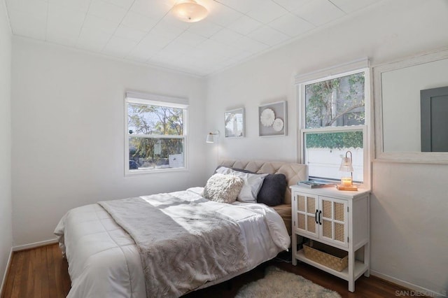 bedroom featuring dark hardwood / wood-style flooring