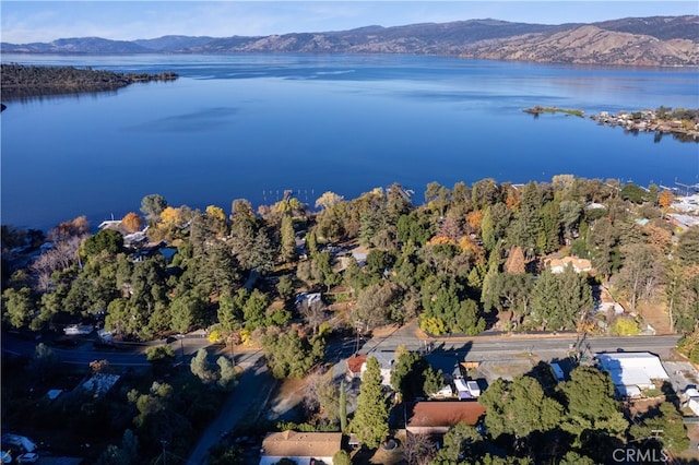 Listing photo 3 for 6435 Soda Bay Rd, Kelseyville CA 95451