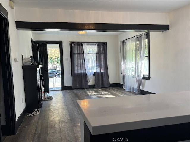 entrance foyer with dark wood-type flooring