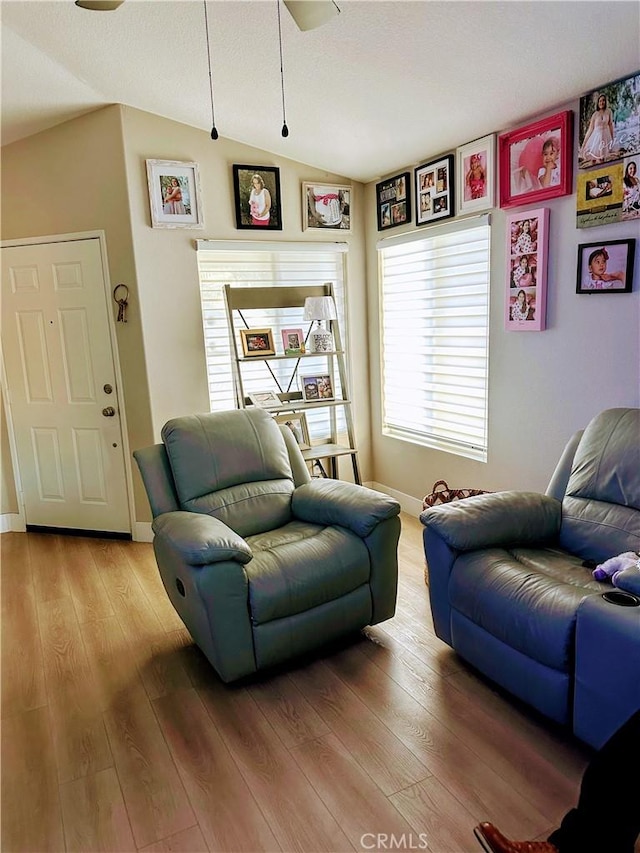 living room featuring hardwood / wood-style flooring and lofted ceiling