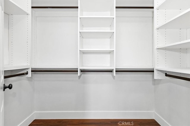 walk in closet with dark hardwood / wood-style flooring