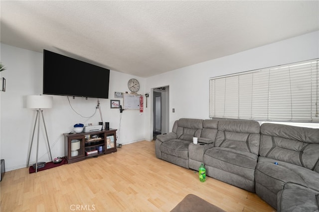 living room with wood-type flooring and a textured ceiling