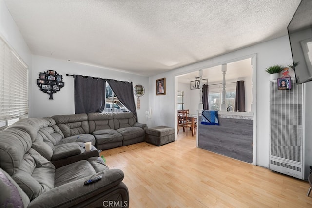 living room featuring a textured ceiling and wood-type flooring