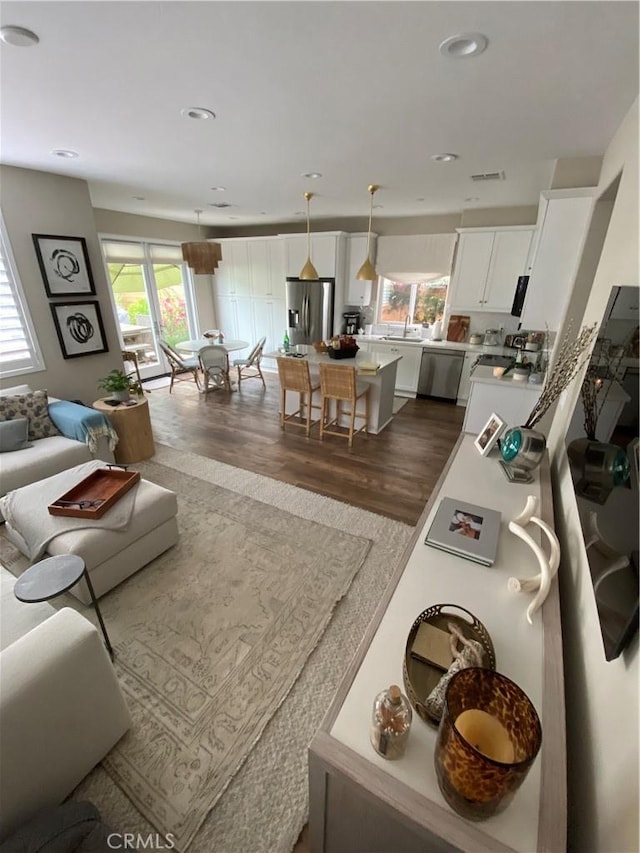 living room featuring dark wood-type flooring and sink