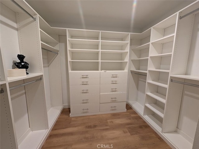 spacious closet featuring hardwood / wood-style floors