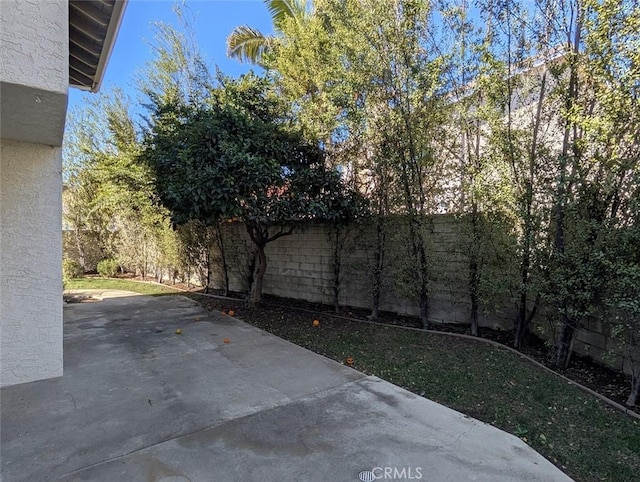 view of yard featuring a patio