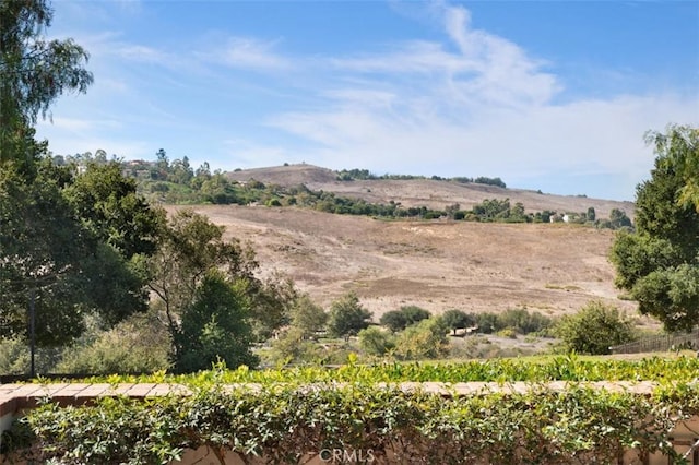 view of local wilderness with a rural view