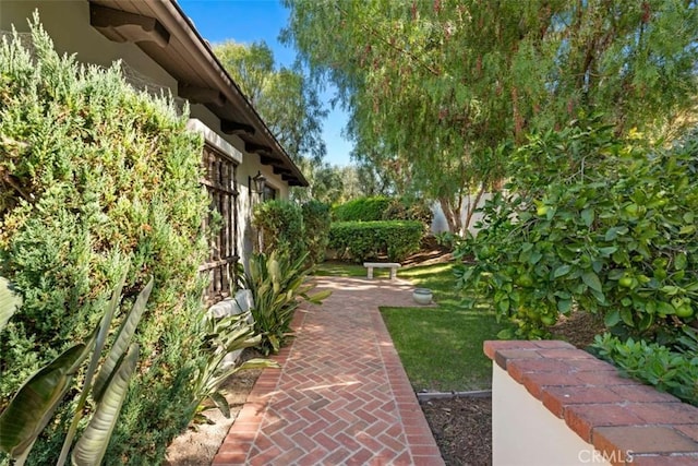 view of yard with a patio