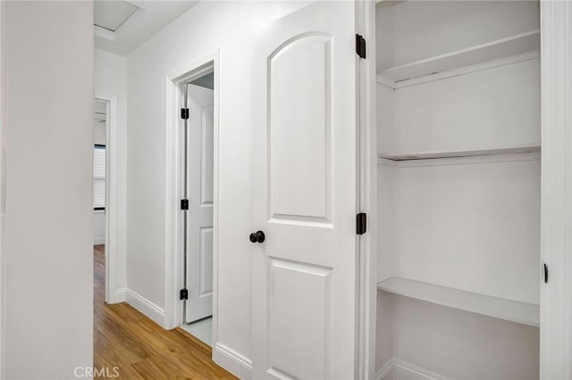 view of closet