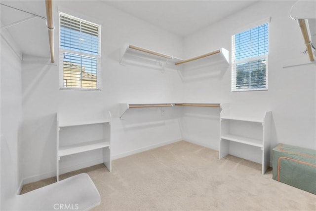 spacious closet with light colored carpet