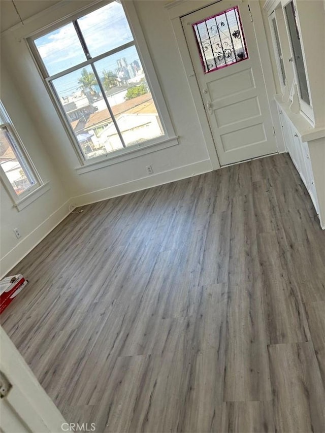 entryway with hardwood / wood-style floors