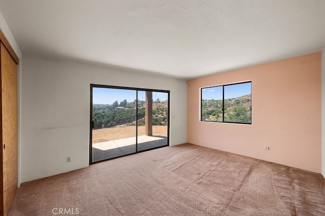 view of carpeted empty room