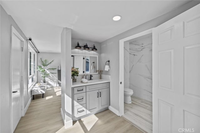 bathroom featuring toilet, vanity, and hardwood / wood-style flooring