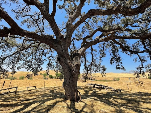 view of yard featuring a rural view