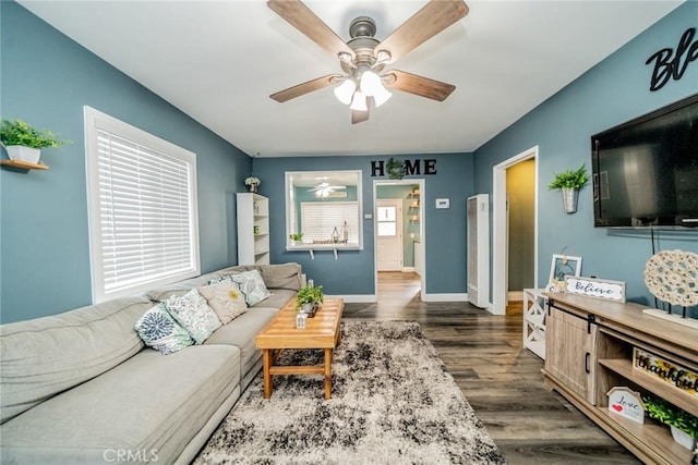 living room featuring ceiling fan and dark hardwood / wood-style floors