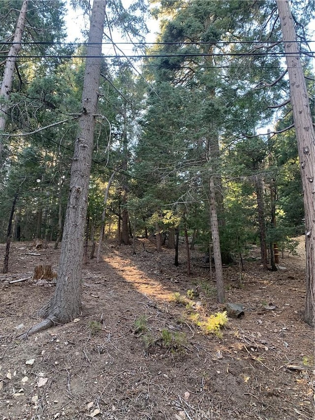 0 Cedarbrook Dr, Twin Peaks CA, 92391 land for sale