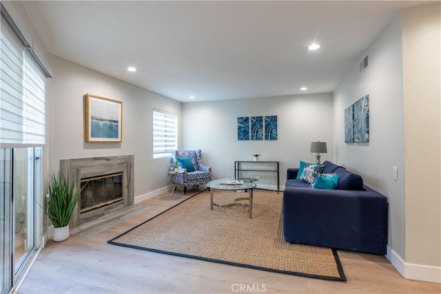 living room featuring a premium fireplace and light hardwood / wood-style flooring