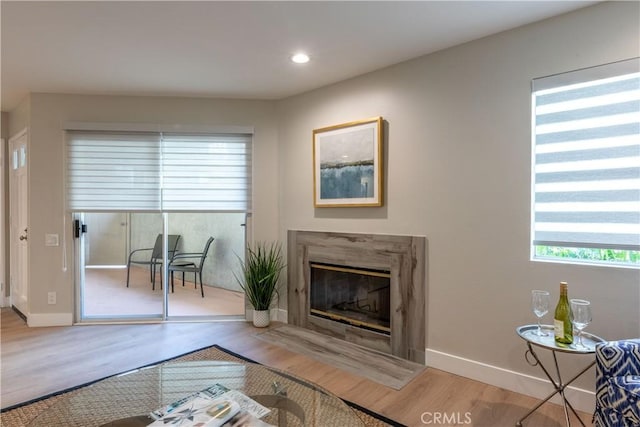 living room featuring wood-type flooring and a premium fireplace