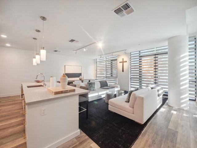 living room with sink, track lighting, and light hardwood / wood-style floors