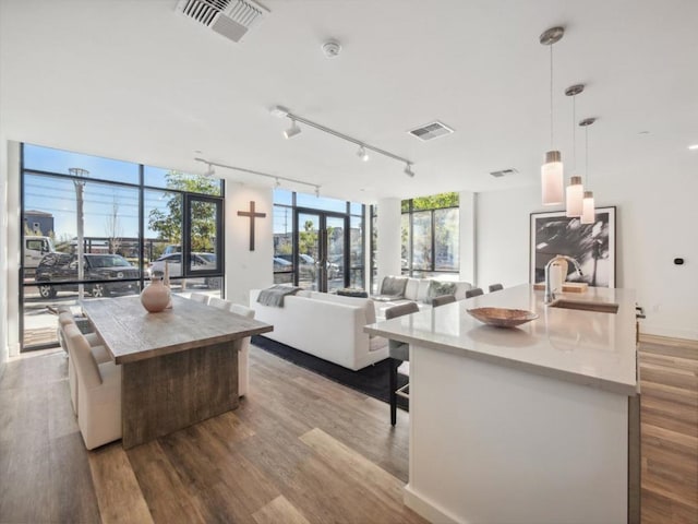 living room featuring hardwood / wood-style flooring and sink