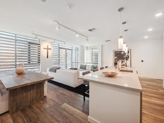 living room with sink, track lighting, and hardwood / wood-style floors