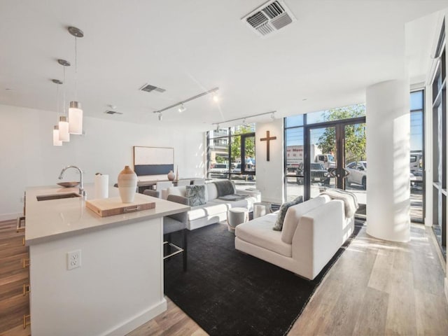 living room with sink, hardwood / wood-style floors, floor to ceiling windows, track lighting, and french doors