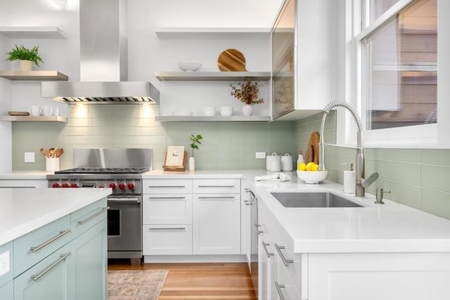 kitchen with tasteful backsplash, sink, high end stove, and exhaust hood