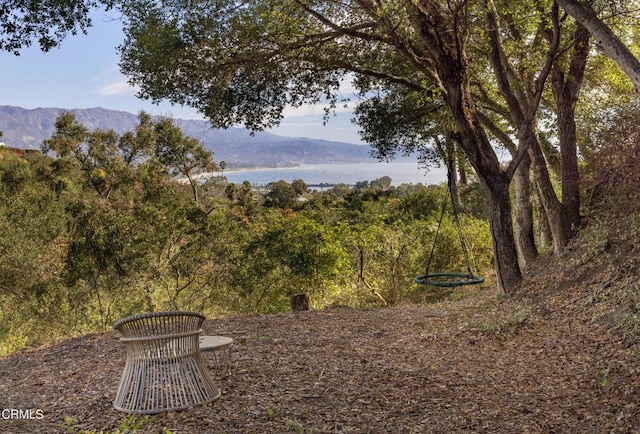 view of yard featuring a mountain view