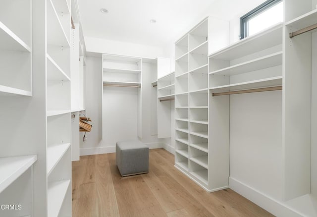 spacious closet with light hardwood / wood-style floors