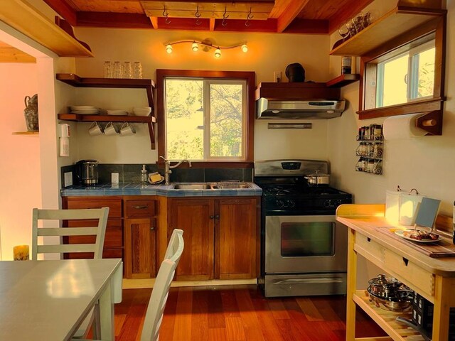 kitchen with sink, dark hardwood / wood-style floors, and gas stove