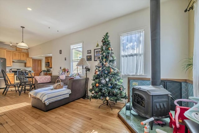 living room with light hardwood / wood-style flooring and a wood stove