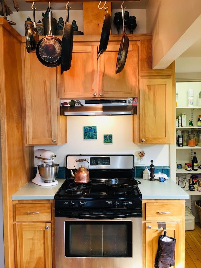 kitchen featuring wood-type flooring and stainless steel gas stove