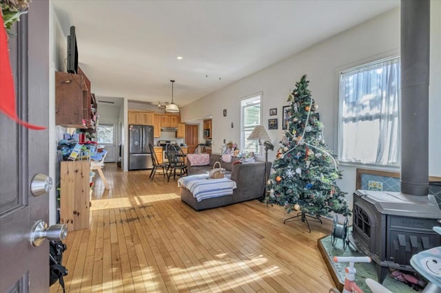 living room featuring a wood stove and light hardwood / wood-style floors