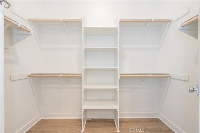 walk in closet featuring wood-type flooring