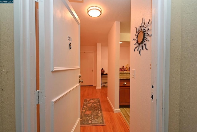 hall featuring light hardwood / wood-style floors