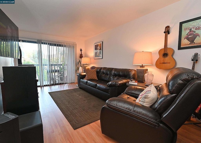 living room featuring light hardwood / wood-style floors