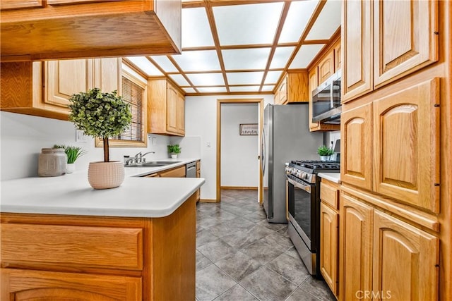 kitchen with stainless steel appliances and sink