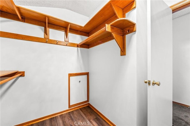 walk in closet featuring lofted ceiling and dark hardwood / wood-style floors