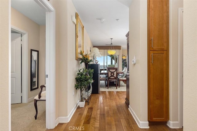 hall featuring baseboards and wood finished floors