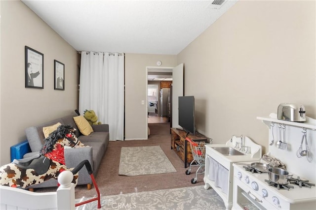 carpeted living room with sink